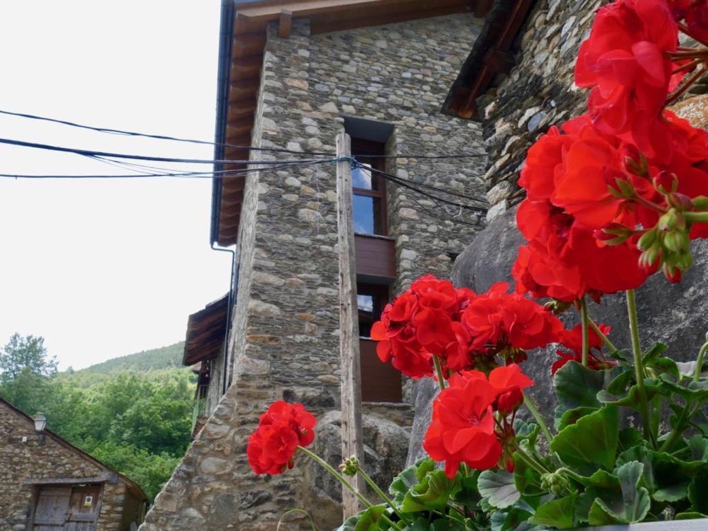 Casa2 · El Corral de Baró